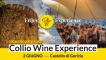Collio Wine Experience