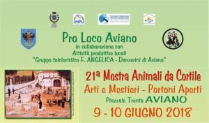 21° Mostra Animali da Cortile