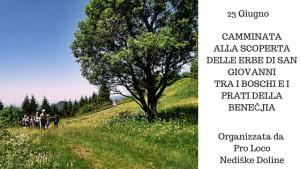 Camminata alla Scoperta delle Erbe di San Giovanni