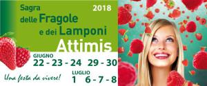 Sagra delle fragole e dei lamponi