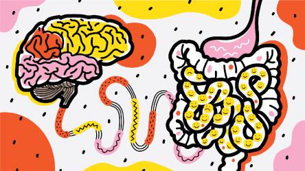 INTESTINO FELICE, CORPO SANO E MENTE EQUILIBRATA