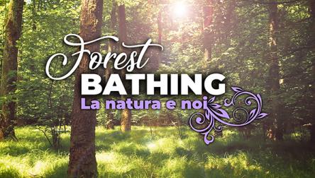 FOREST BATHING: la natura e noi.