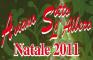 Aviano Sotto L'albero