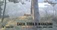 Carso, Terra di Migrazioni - Escursione Naturalistica