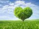 FORMAZIONE IN NATUROPATIA OLISTICA